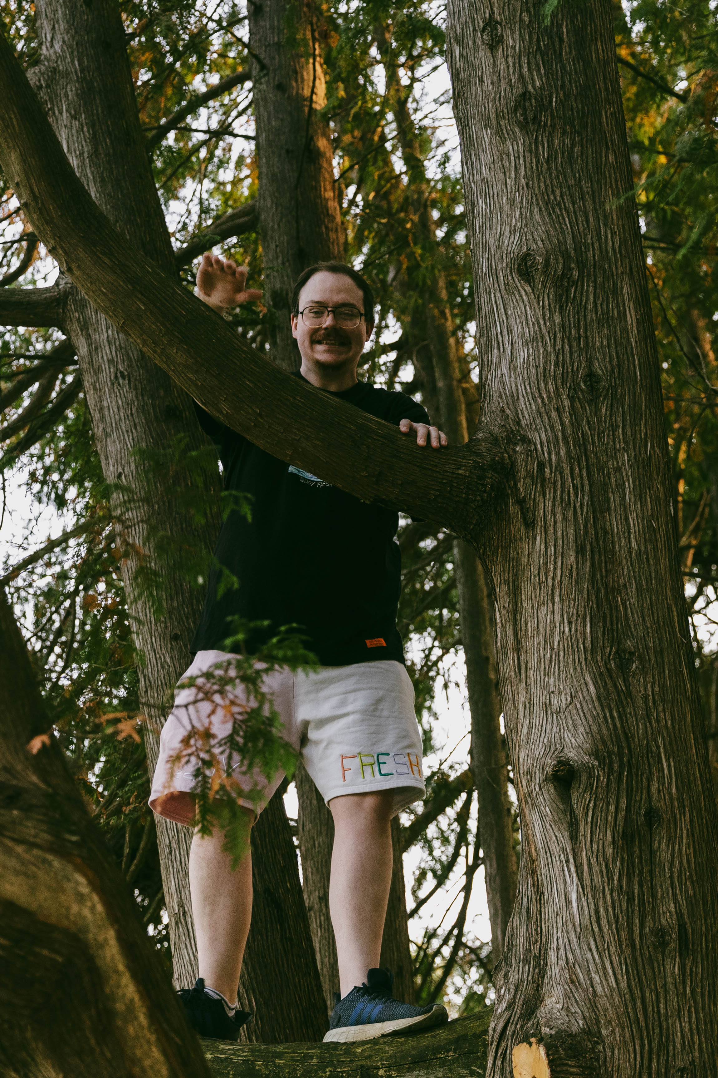 nik in a tree